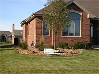 Lawn Maintenance